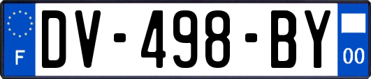 DV-498-BY