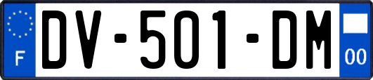 DV-501-DM