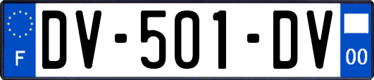 DV-501-DV