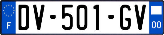 DV-501-GV