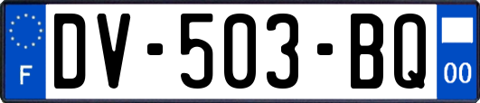 DV-503-BQ