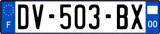 DV-503-BX