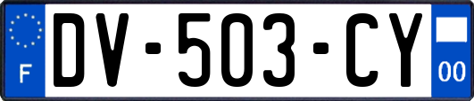 DV-503-CY