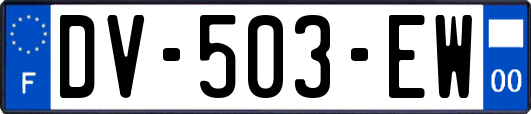 DV-503-EW