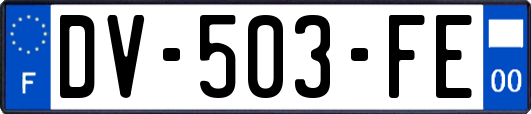 DV-503-FE