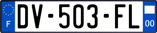 DV-503-FL