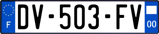 DV-503-FV