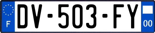 DV-503-FY