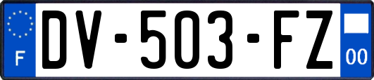 DV-503-FZ