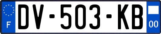 DV-503-KB