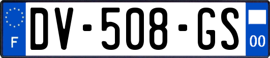 DV-508-GS