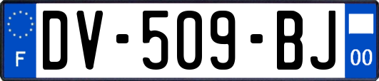 DV-509-BJ