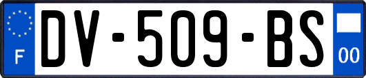 DV-509-BS