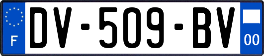 DV-509-BV