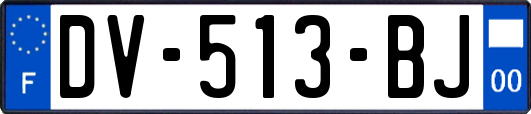 DV-513-BJ