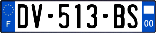 DV-513-BS