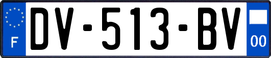 DV-513-BV