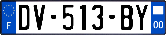 DV-513-BY