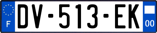 DV-513-EK