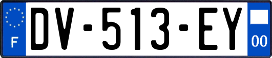 DV-513-EY