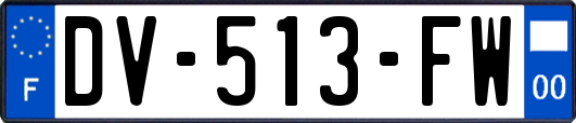 DV-513-FW