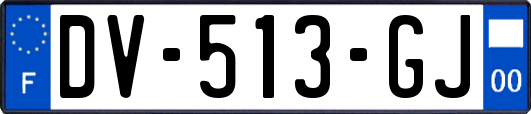 DV-513-GJ