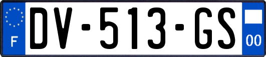 DV-513-GS