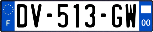 DV-513-GW