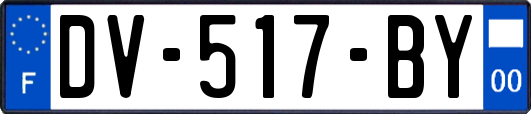 DV-517-BY