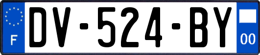 DV-524-BY