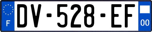 DV-528-EF