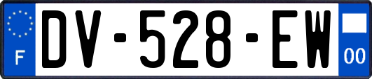 DV-528-EW