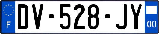 DV-528-JY