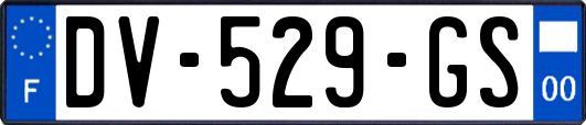 DV-529-GS