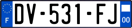 DV-531-FJ