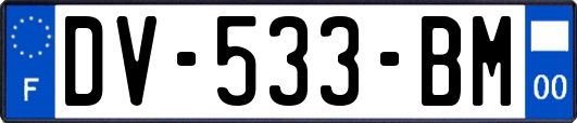 DV-533-BM