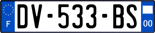 DV-533-BS