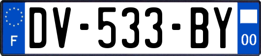 DV-533-BY