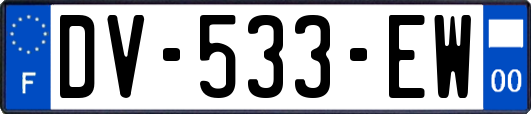 DV-533-EW