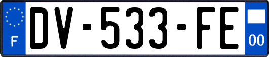 DV-533-FE