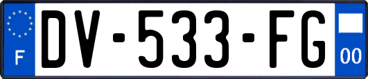 DV-533-FG