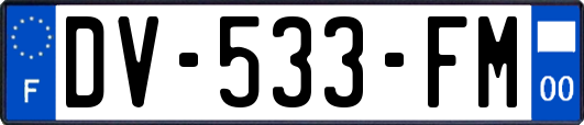 DV-533-FM