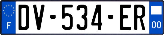 DV-534-ER