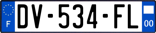 DV-534-FL