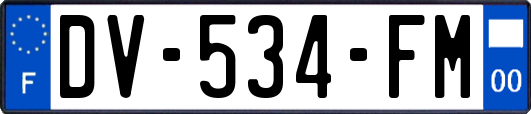 DV-534-FM