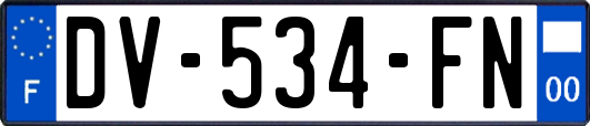 DV-534-FN