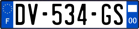 DV-534-GS