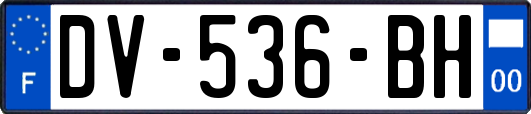 DV-536-BH