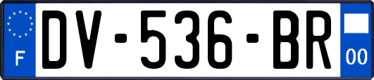 DV-536-BR