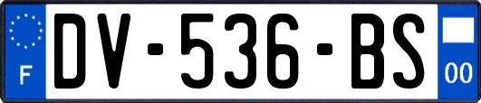 DV-536-BS